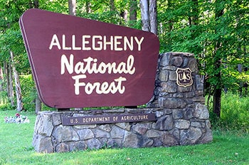 Wooden Allegheny National Forest sign on a sunny day