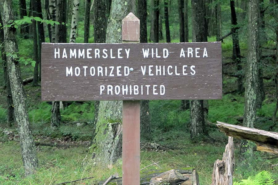Wooden Hammersley wild area sign in woods