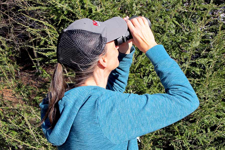 Woman using binoculars to search for bird in tree