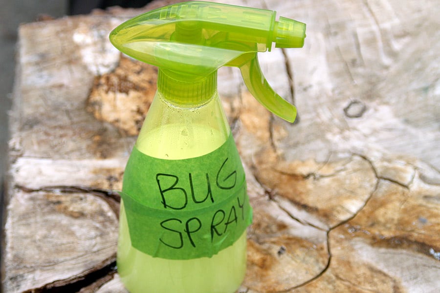 Spray bottle labeled with bug spray