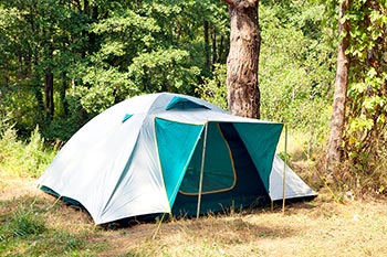 Green colored tent in woods