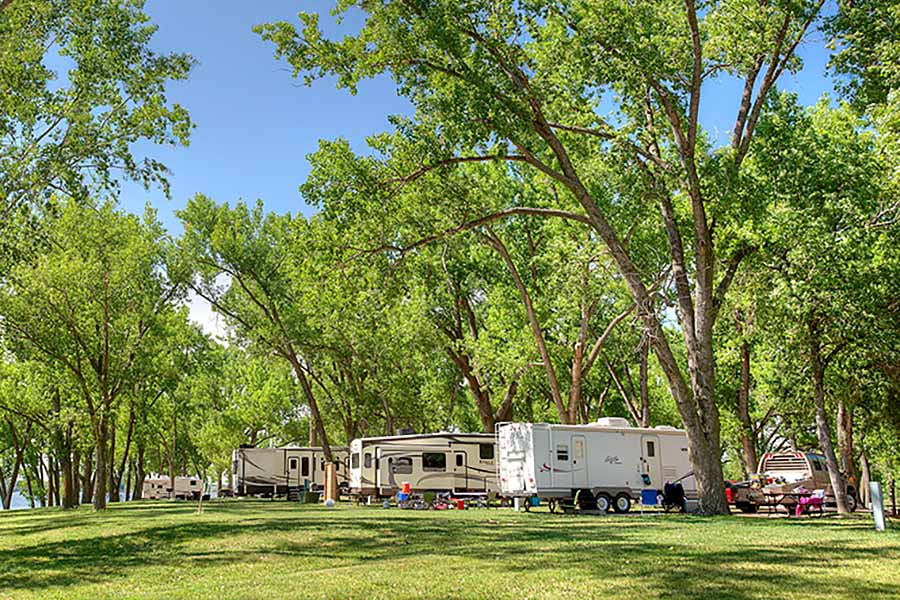 Camping under the trees at campground