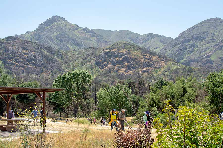Hikers on the Malibu Creek Trail, mountains in background