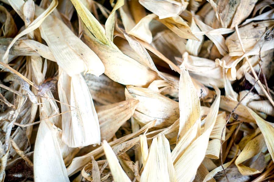 Pile of dried corn husks
